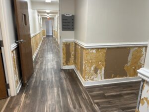 wallpaper removal raleigh nc