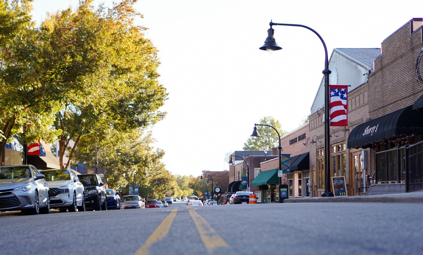 wake forest painters